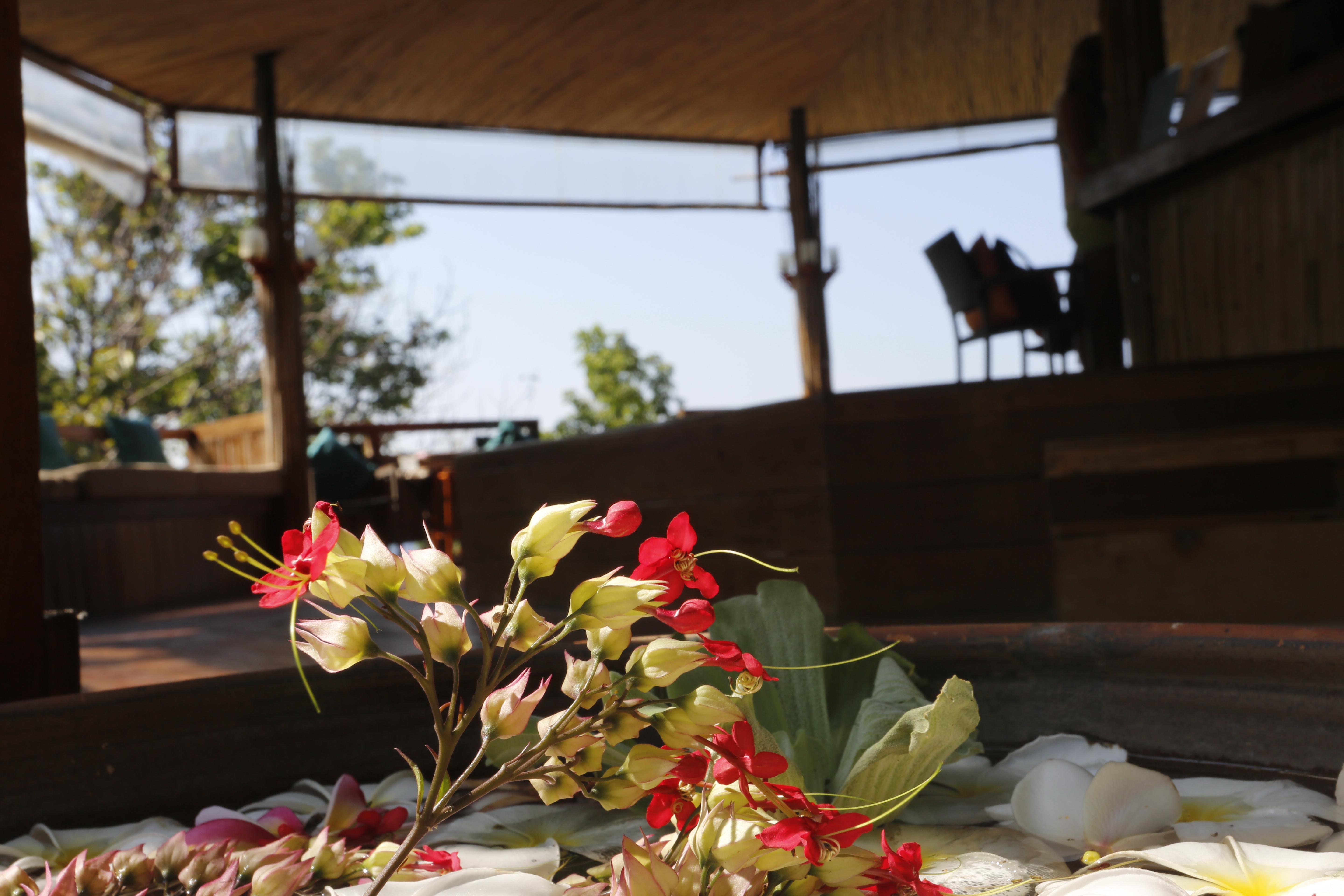 Koh Tao Hillside Resort Kültér fotó